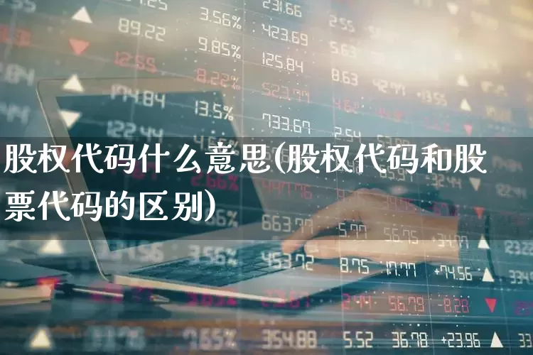 股权代码什么意思(股权代码和股票代码的区别)_https://www.gfdzclz.com_创业板_第1张