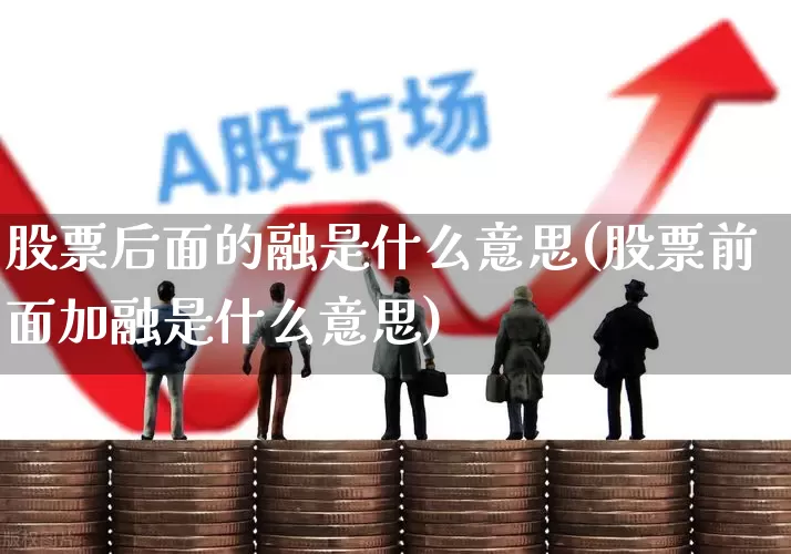 股票后面的融是什么意思(股票前面加融是什么意思)_https://www.gfdzclz.com_科创板_第1张