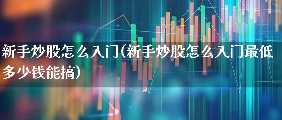 新手炒股怎么入门(新手炒股怎么入门最低多少钱能搞)_https://www.gfdzclz.com_创业板_第1张