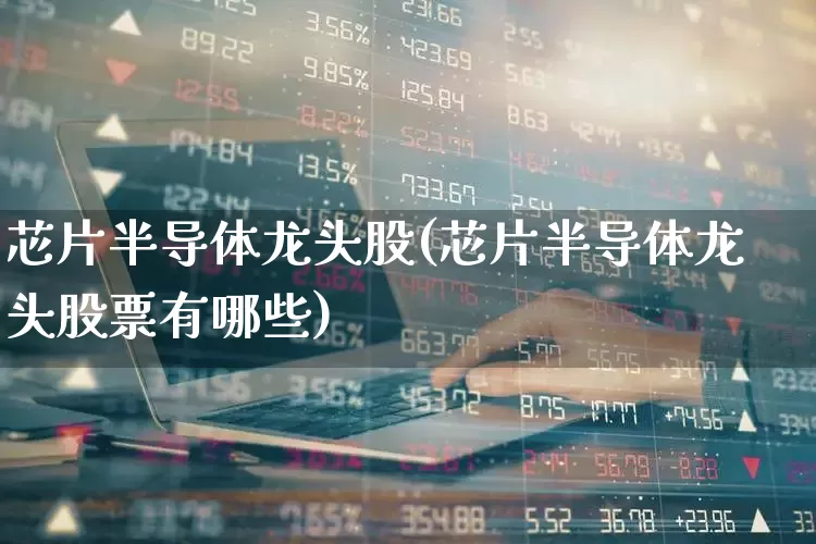芯片半导体龙头股(芯片半导体龙头股票有哪些)_https://www.gfdzclz.com_上交所_第1张