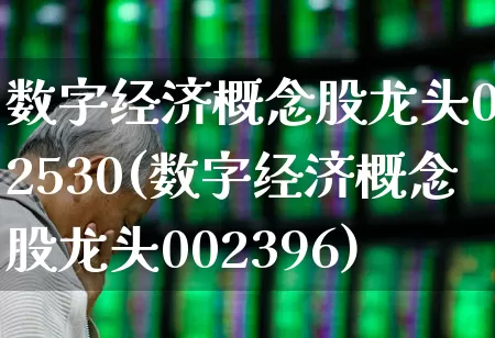 数字经济概念股龙头002530(数字经济概念股龙头002396)_https://www.gfdzclz.com_上交所_第1张