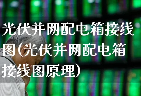 光伏并网配电箱接线图(光伏并网配电箱接线图原理)_https://www.gfdzclz.com_上交所_第1张