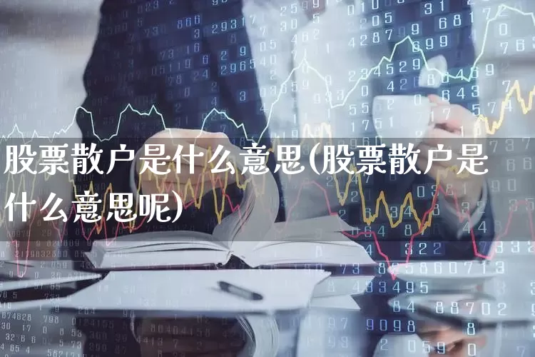 股票散户是什么意思(股票散户是什么意思呢)_https://www.gfdzclz.com_深交所_第1张