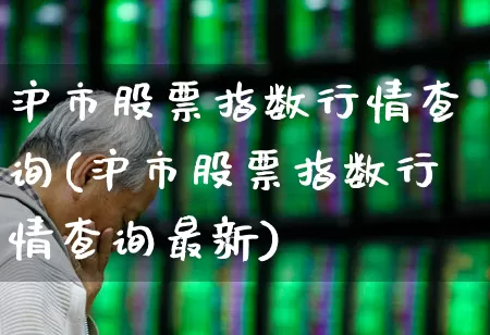 沪市股票指数行情查询(沪市股票指数行情查询最新)_https://www.gfdzclz.com_北交所_第1张