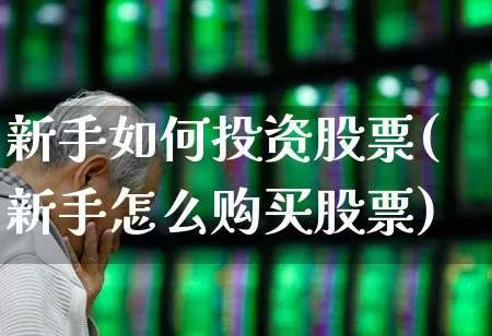 新手如何投资股票(新手怎么购买股票)_https://www.gfdzclz.com_北交所_第1张