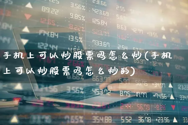 手机上可以炒股票吗怎么炒(手机上可以炒股票吗怎么炒的)_https://www.gfdzclz.com_上交所_第1张