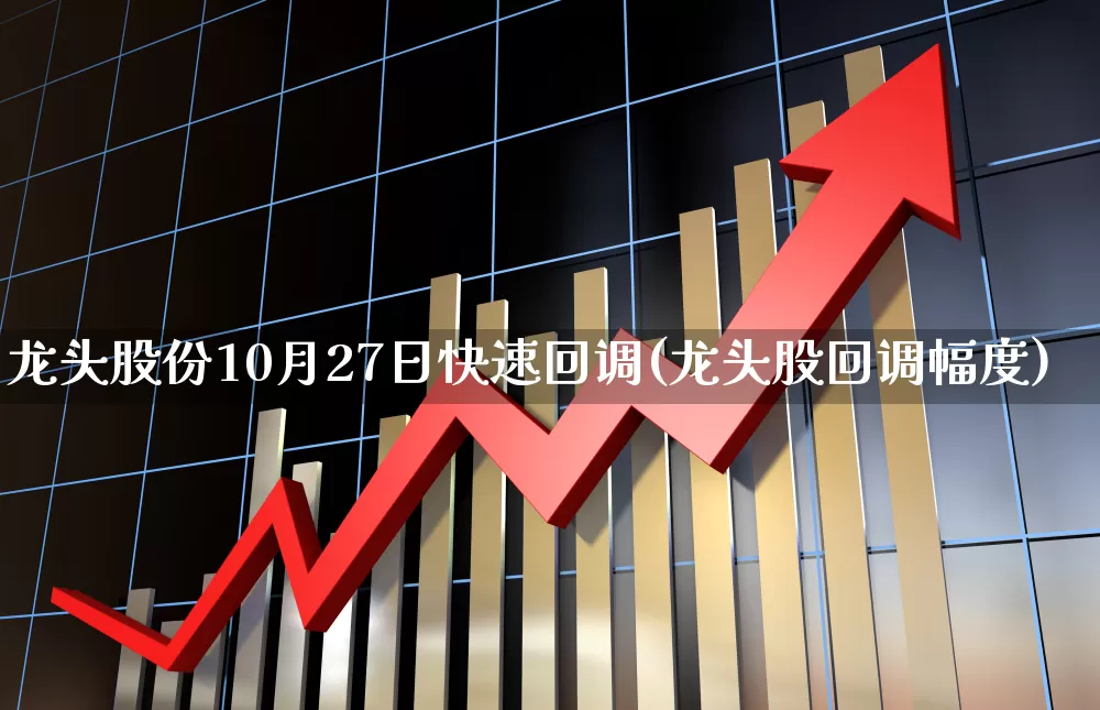 龙头股份10月27日快速回调(龙头股回调幅度)_https://www.gfdzclz.com_上交所_第1张