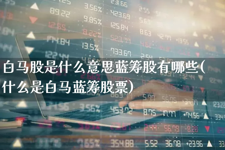 白马股是什么意思蓝筹股有哪些(什么是白马蓝筹股票)_https://www.gfdzclz.com_上交所_第1张
