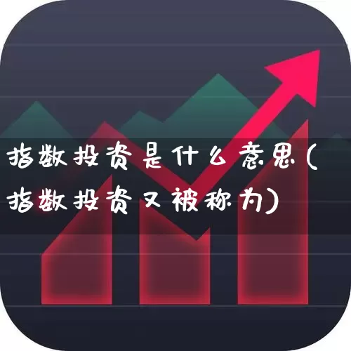 指数投资是什么意思(指数投资又被称为)_https://www.gfdzclz.com_科创板_第1张