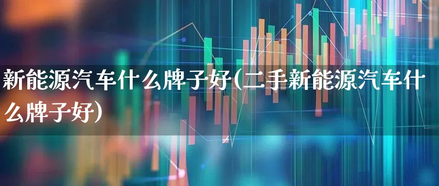 新能源汽车什么牌子好(二手新能源汽车什么牌子好)_https://www.gfdzclz.com_北交所_第1张