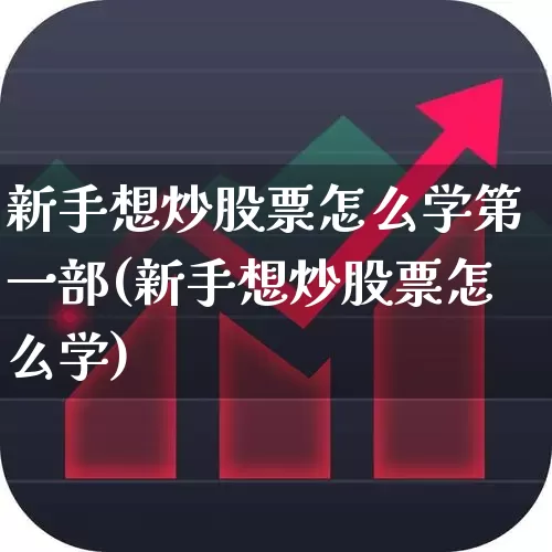 新手想炒股票怎么学第一部(新手想炒股票怎么学)_https://www.gfdzclz.com_北交所_第1张