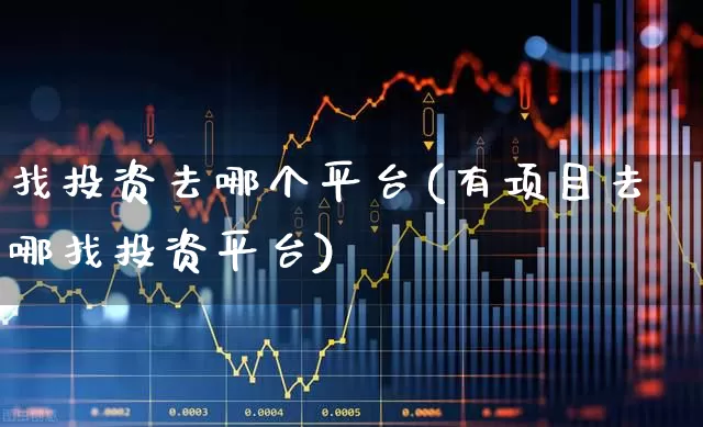 找投资去哪个平台(有项目去哪找投资平台)_https://www.gfdzclz.com_上交所_第1张