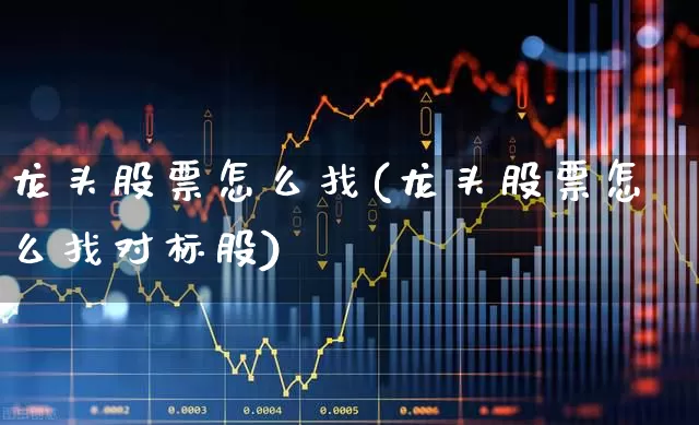 龙头股票怎么找(龙头股票怎么找对标股)_https://www.gfdzclz.com_科创板_第1张