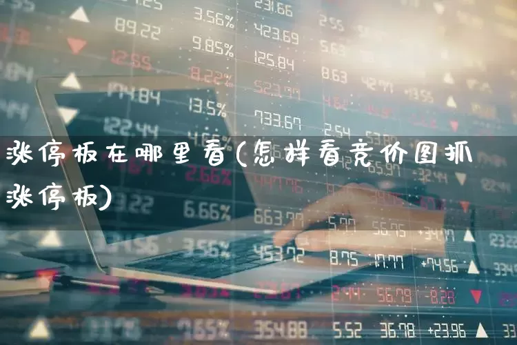 涨停板在哪里看(怎样看竞价图抓涨停板)_https://www.gfdzclz.com_北交所_第1张