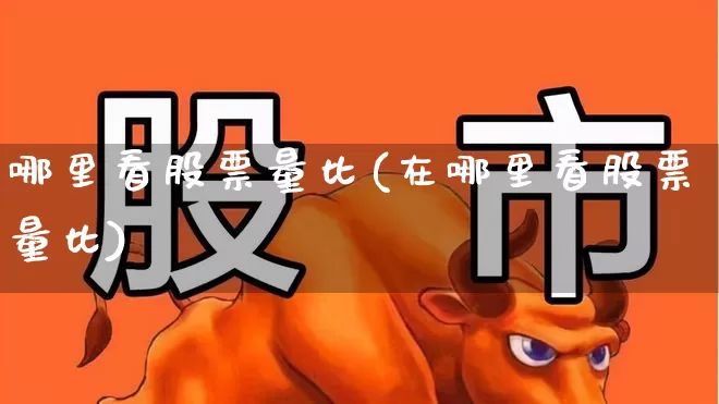 哪里看股票量比(在哪里看股票量比)_https://www.gfdzclz.com_科创板_第1张