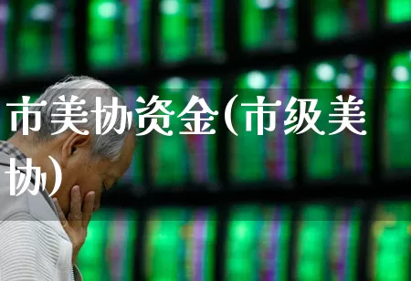 市美协资金(市级美协)_https://www.gfdzclz.com_科创板_第1张