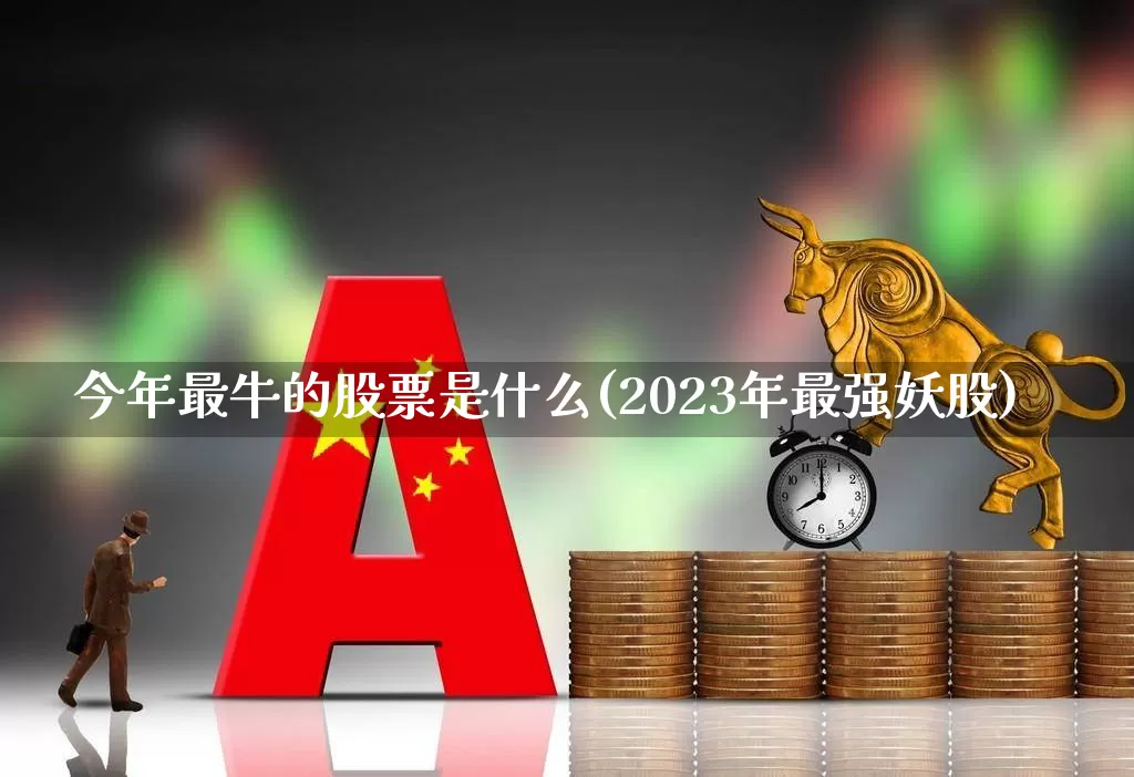 今年最牛的股票是什么(2023年最强妖股)_https://www.gfdzclz.com_北交所_第1张