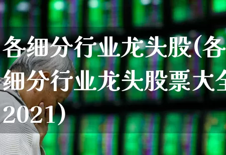 各细分行业龙头股(各细分行业龙头股票大全2021)_https://www.gfdzclz.com_深交所_第1张