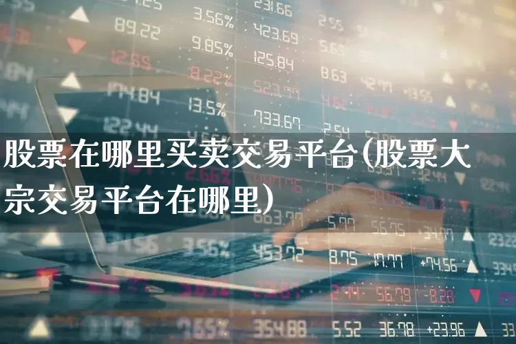 股票在哪里买卖交易平台(股票大宗交易平台在哪里)_https://www.gfdzclz.com_科创板_第1张