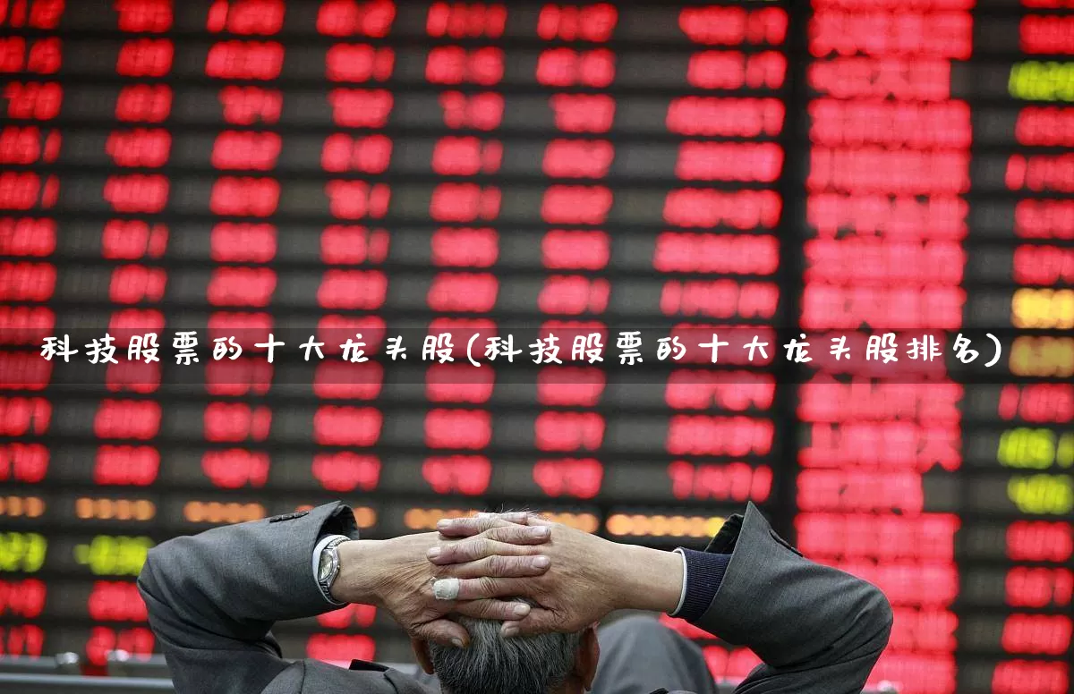 科技股票的十大龙头股(科技股票的十大龙头股排名)_https://www.gfdzclz.com_创业板_第1张