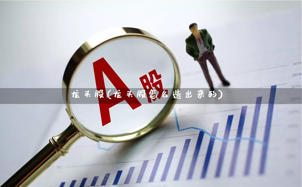 龙头股(龙头股怎么选出来的)_https://www.gfdzclz.com_深交所_第1张