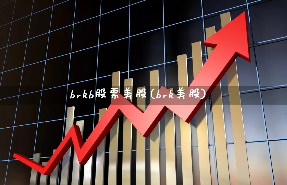 brkb股票美股(brk美股)_https://www.gfdzclz.com_科创板_第1张