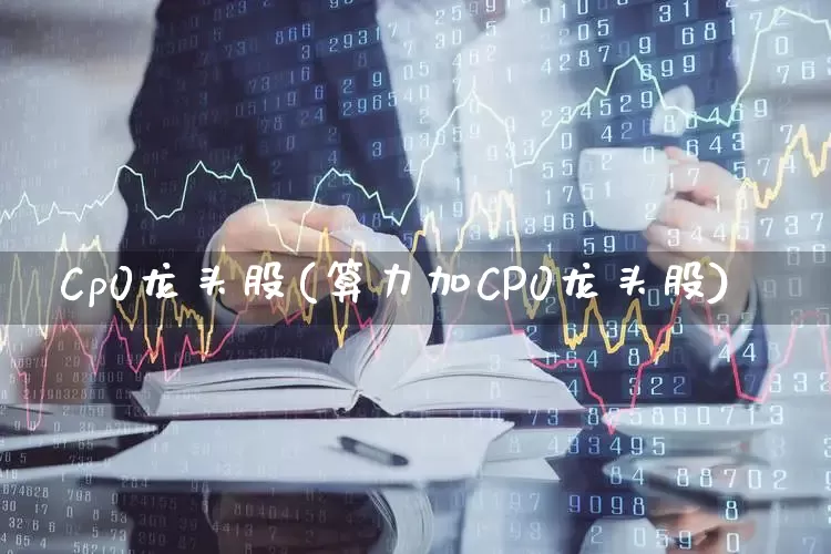 Cp0龙头股(算力加CP0龙头股)_https://www.gfdzclz.com_上交所_第1张