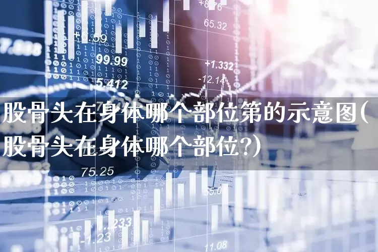 股骨头在身体哪个部位第的示意图(股骨头在身体哪个部位?)_https://www.gfdzclz.com_上交所_第1张