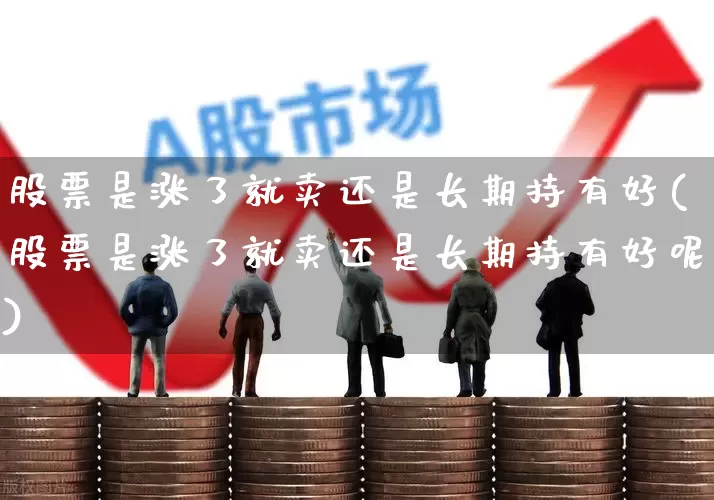 股票是涨了就卖还是长期持有好(股票是涨了就卖还是长期持有好呢)_https://www.gfdzclz.com_北交所_第1张