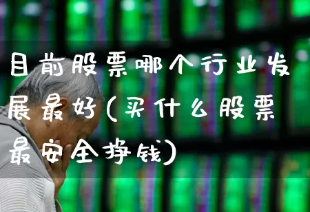 目前股票哪个行业发展最好(买什么股票最安全挣钱)_https://www.gfdzclz.com_上交所_第1张
