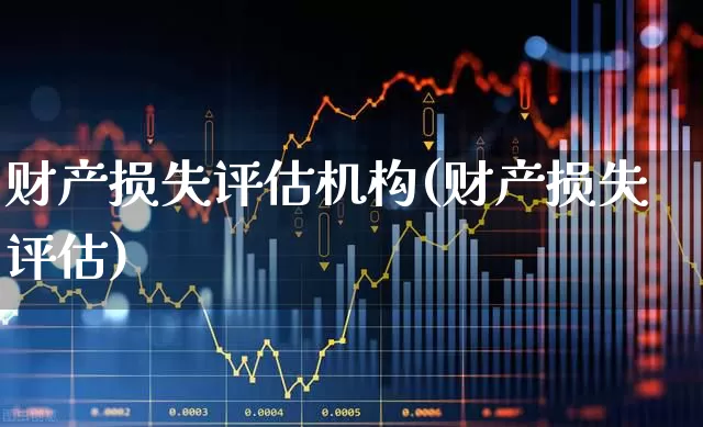 财产损失评估机构(财产损失评估)_https://www.gfdzclz.com_上交所_第1张