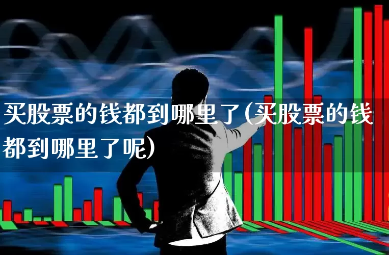 买股票的钱都到哪里了(买股票的钱都到哪里了呢)_https://www.gfdzclz.com_深交所_第1张