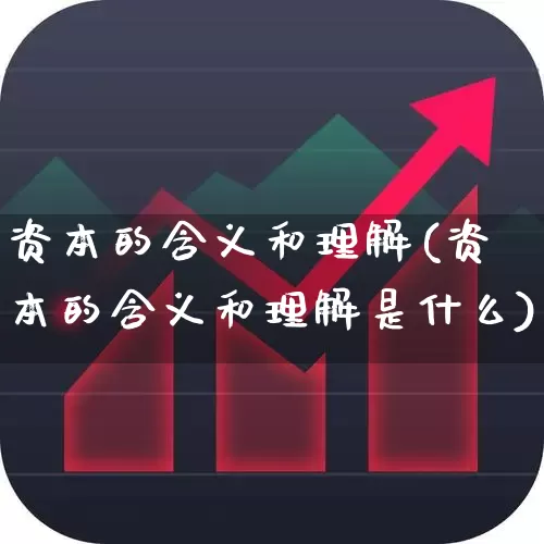 资本的含义和理解(资本的含义和理解是什么)_https://www.gfdzclz.com_创业板_第1张