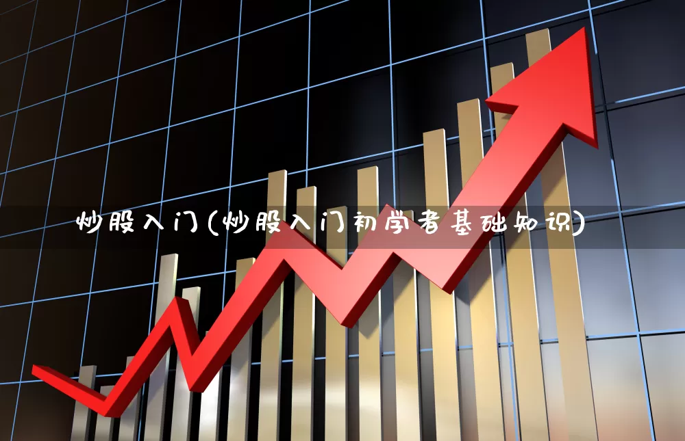 炒股入门(炒股入门初学者基础知识)_https://www.gfdzclz.com_上交所_第1张