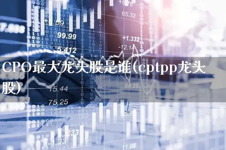 CPO最大龙头股是谁(cptpp龙头股)_https://www.gfdzclz.com_上交所_第1张