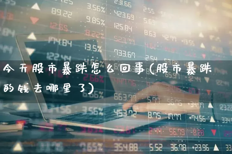 今天股市暴跌怎么回事(股市暴跌的钱去哪里了)_https://www.gfdzclz.com_上交所_第1张