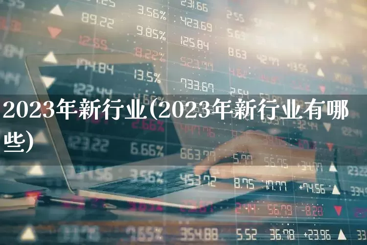 2023年新行业(2023年新行业有哪些)_https://www.gfdzclz.com_上交所_第1张