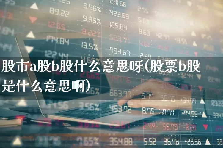 股市a股b股什么意思呀(股票b股是什么意思啊)_https://www.gfdzclz.com_创业板_第1张