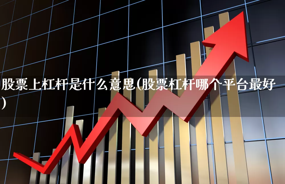 股票上杠杆是什么意思(股票杠杆哪个平台最好)_https://www.gfdzclz.com_创业板_第1张