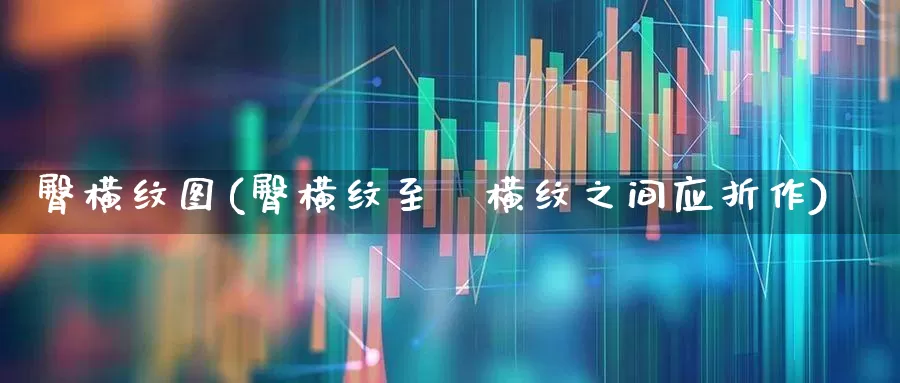 臀横纹图(臀横纹至腘横纹之间应折作)_https://www.gfdzclz.com_创业板_第1张