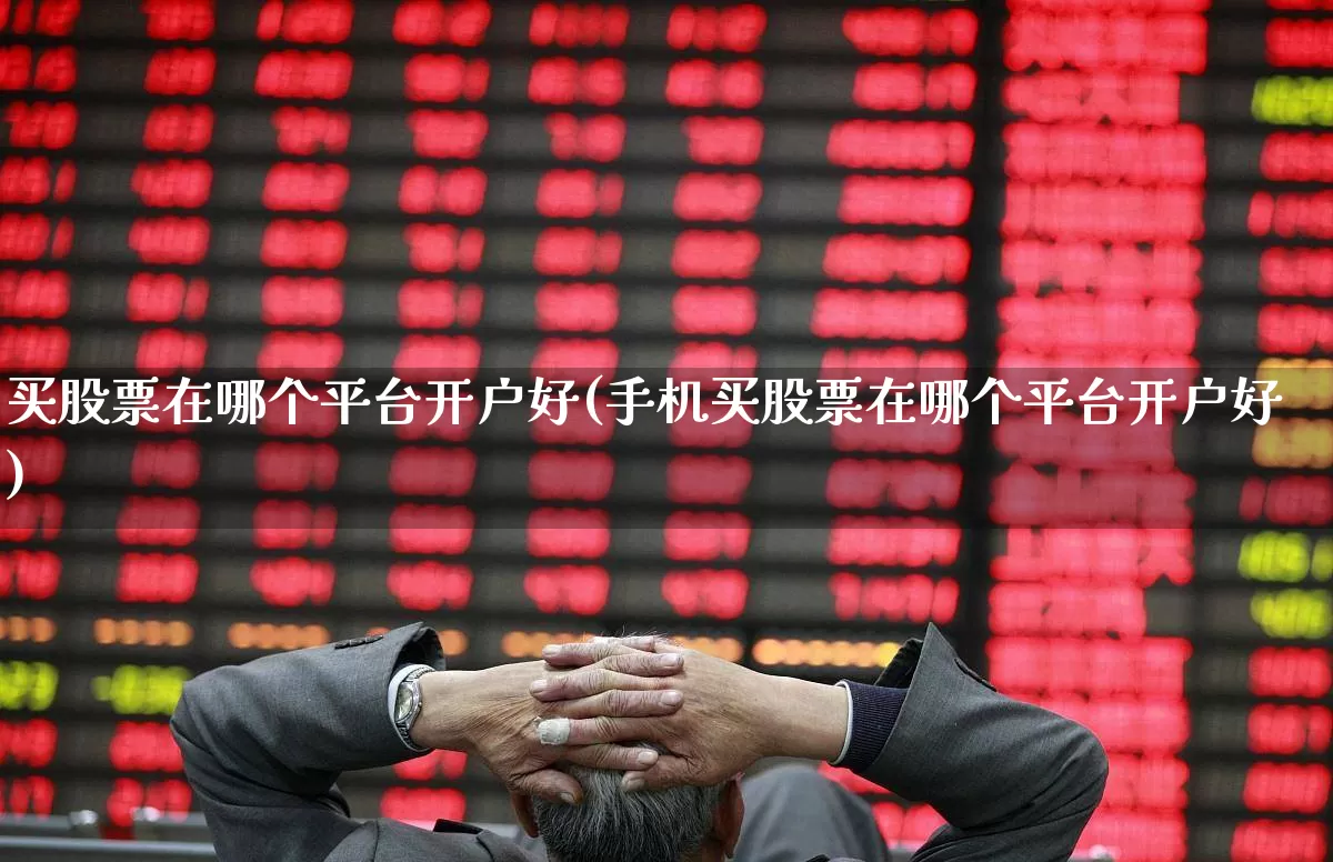 买股票在哪个平台开户好(手机买股票在哪个平台开户好)_https://www.gfdzclz.com_深交所_第1张