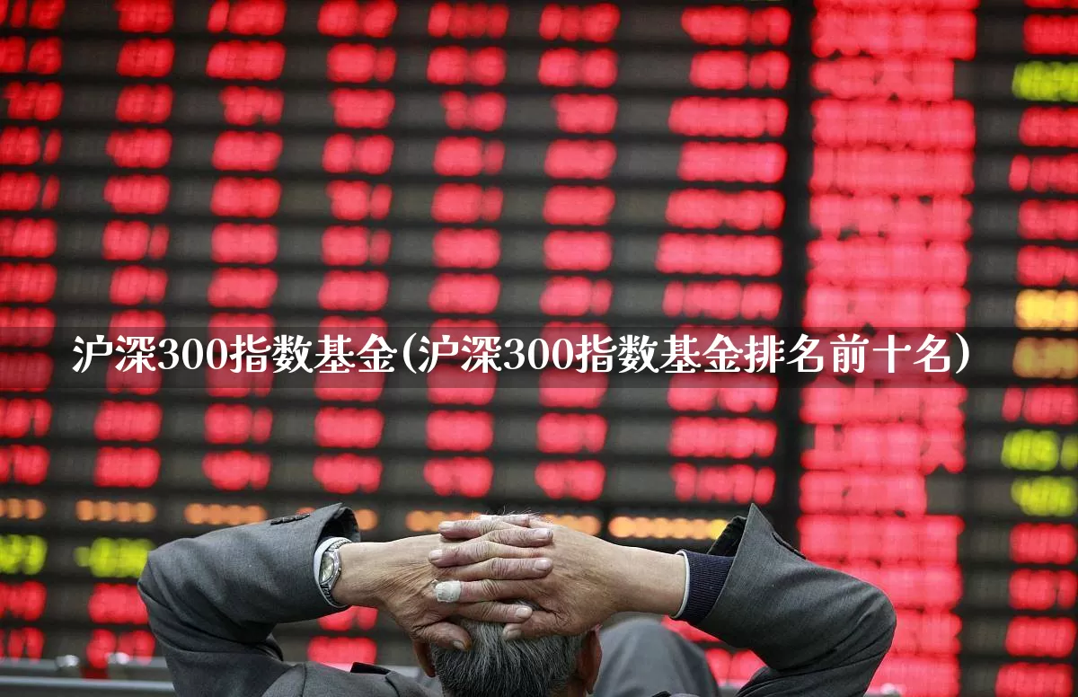 沪深300指数基金(沪深300指数基金排名前十名)_https://www.gfdzclz.com_科创板_第1张