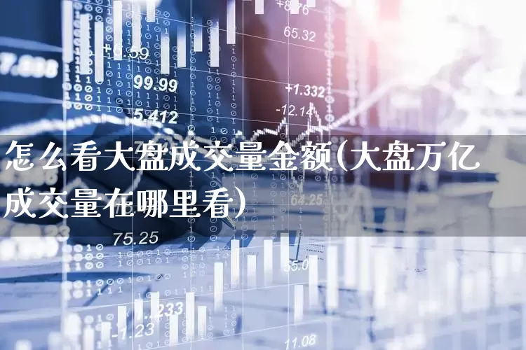 怎么看大盘成交量金额(大盘万亿成交量在哪里看)_https://www.gfdzclz.com_创业板_第1张