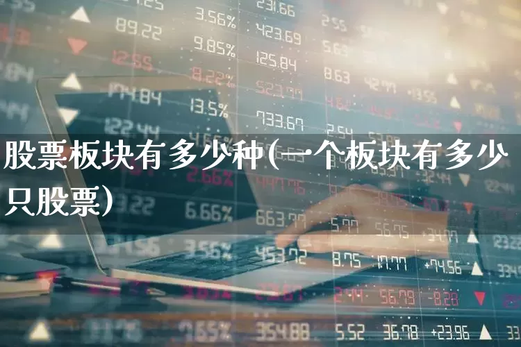 股票板块有多少种(一个板块有多少只股票)_https://www.gfdzclz.com_科创板_第1张