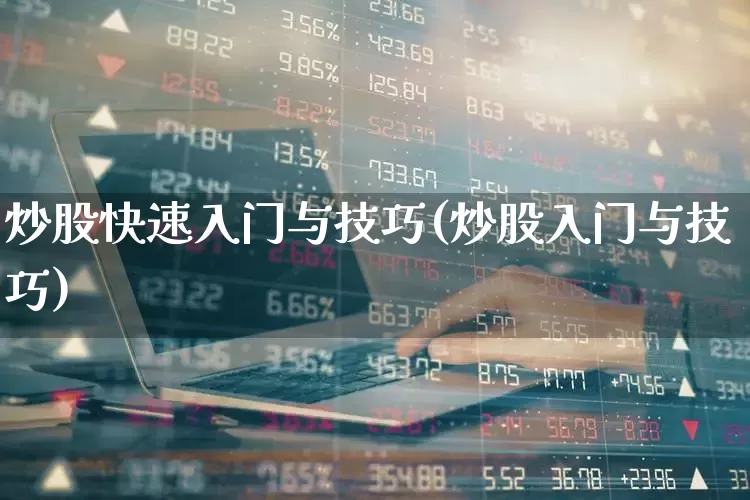 炒股快速入门与技巧(炒股入门与技巧)_https://www.gfdzclz.com_上交所_第1张
