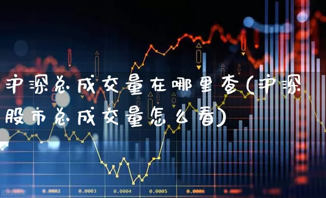 沪深总成交量在哪里查(沪深股市总成交量怎么看)_https://www.gfdzclz.com_北交所_第1张