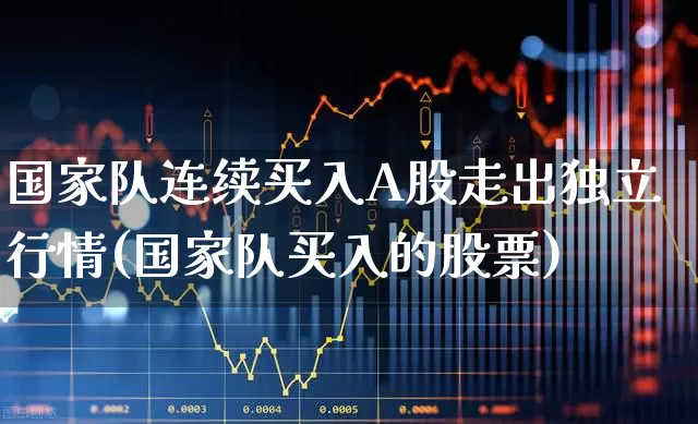 国家队连续买入A股走出独立行情(国家队买入的股票)_https://www.gfdzclz.com_深交所_第1张