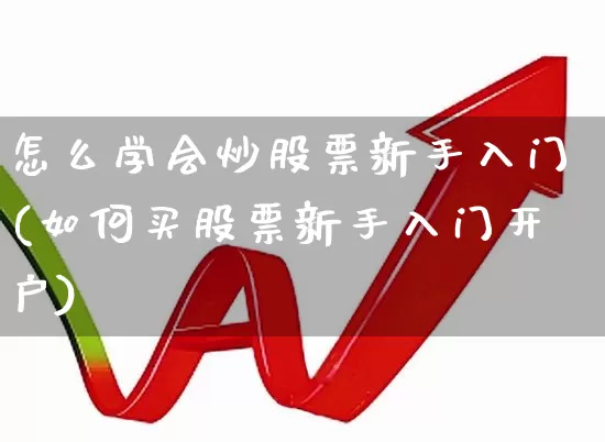 怎么学会炒股票新手入门(如何买股票新手入门开户)_https://www.gfdzclz.com_创业板_第1张