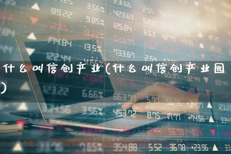 什么叫信创产业(什么叫信创产业园)_https://www.gfdzclz.com_科创板_第1张