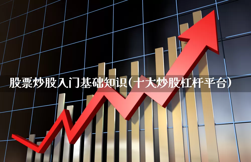 股票炒股入门基础知识(十大炒股杠杆平台)_https://www.gfdzclz.com_科创板_第1张